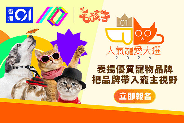 人氣寵愛大選2026